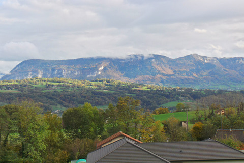 Vue